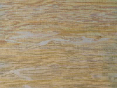 Sun-washed golden print