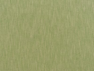 Delicate sage green fabric