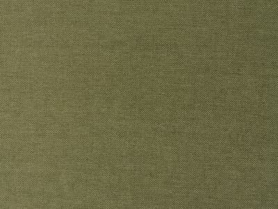 Stain resistant weave in spring green