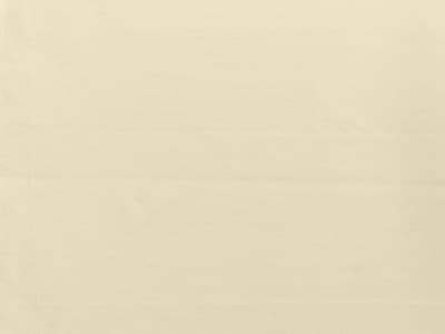 Ivory Plain Linen Ground