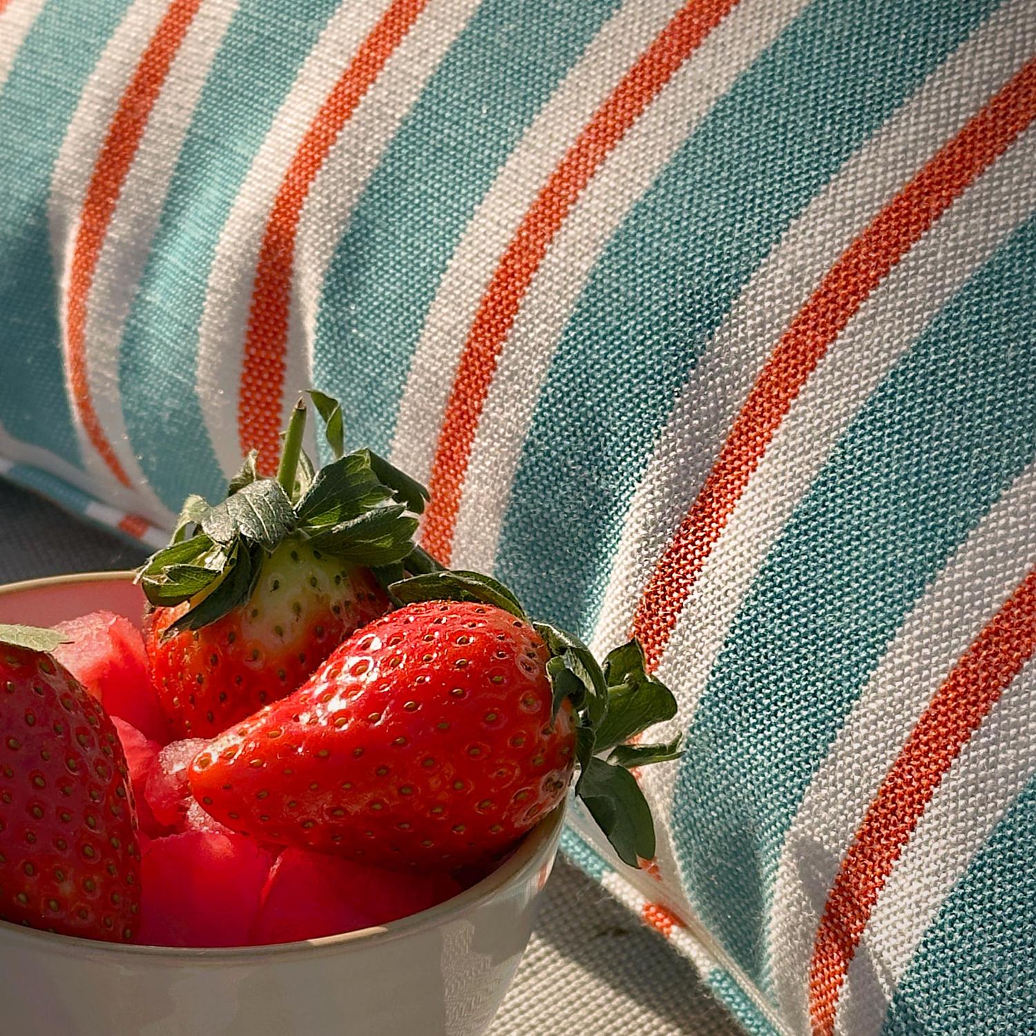 Coast Turquoise Spritz Hollowfibre Cushion 55cm X 40cm Turquoise Spritz - Andrew Martin Sophie Paterson Stripe