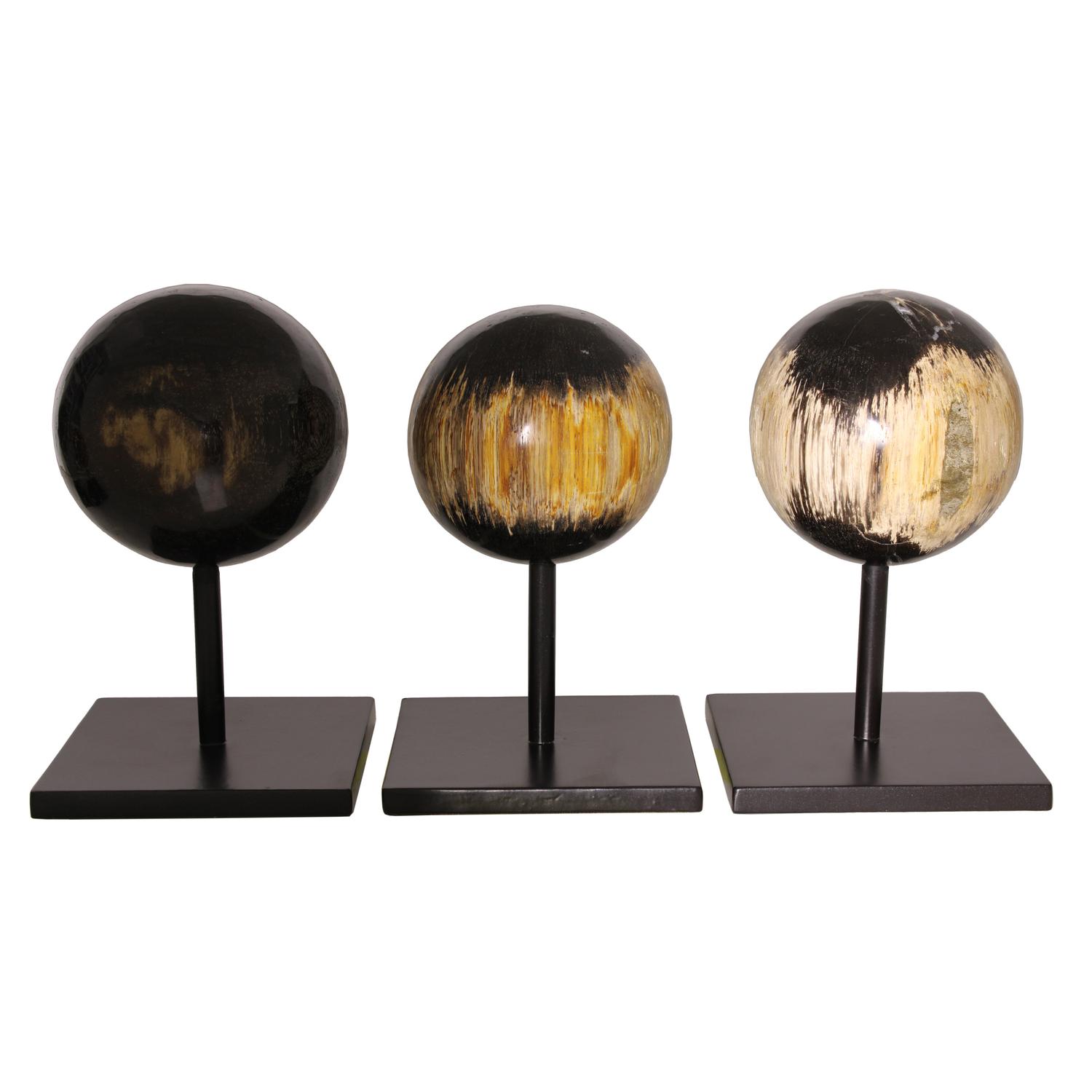 Petrified Wood Sphere Large Decorative Accessory Large - Andrew Martin
