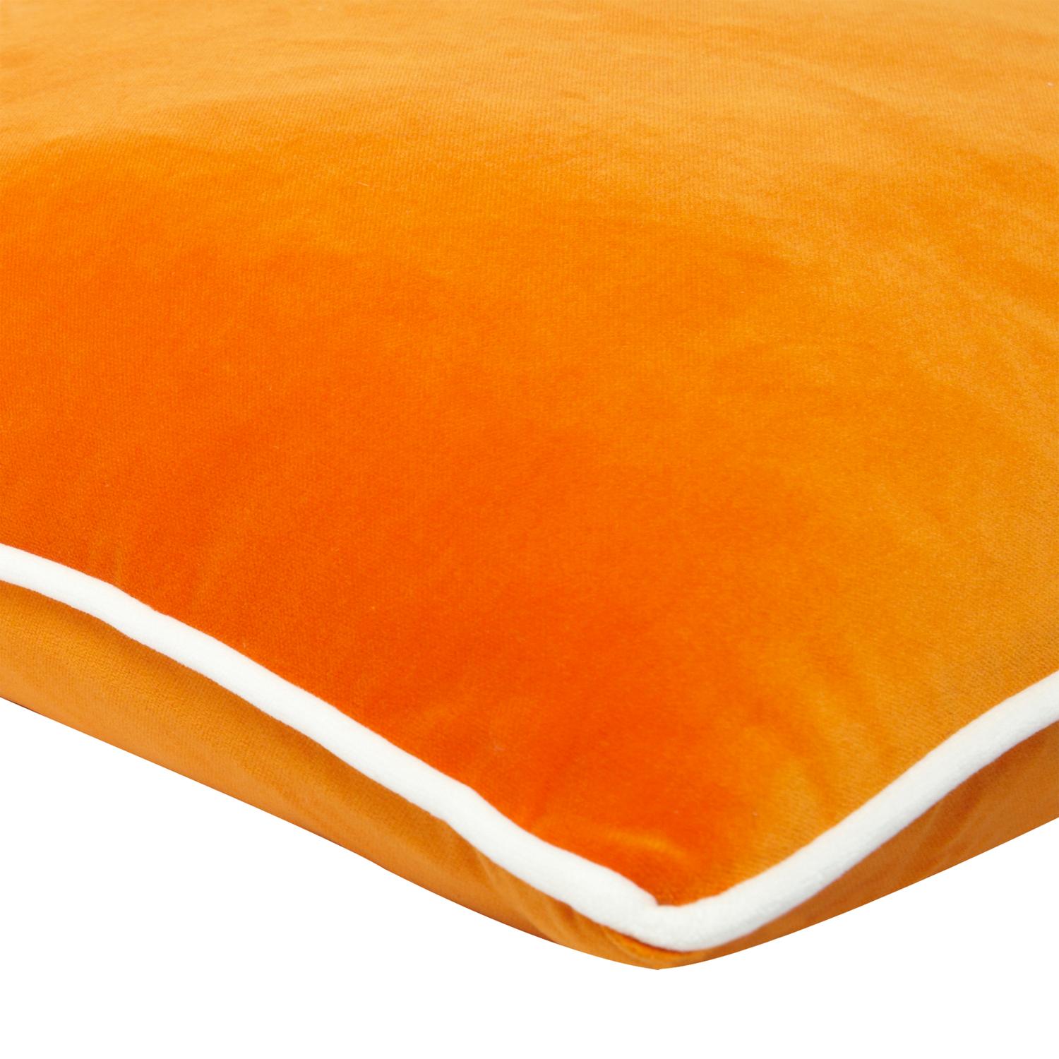 Pelham Clementine Milk Sustainable Feather Cushion 55cm X 55cm Clementine Milk - Andrew Martin Velvet Plain