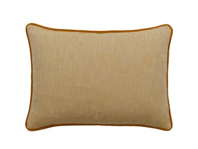 A cushion in golden sunshine