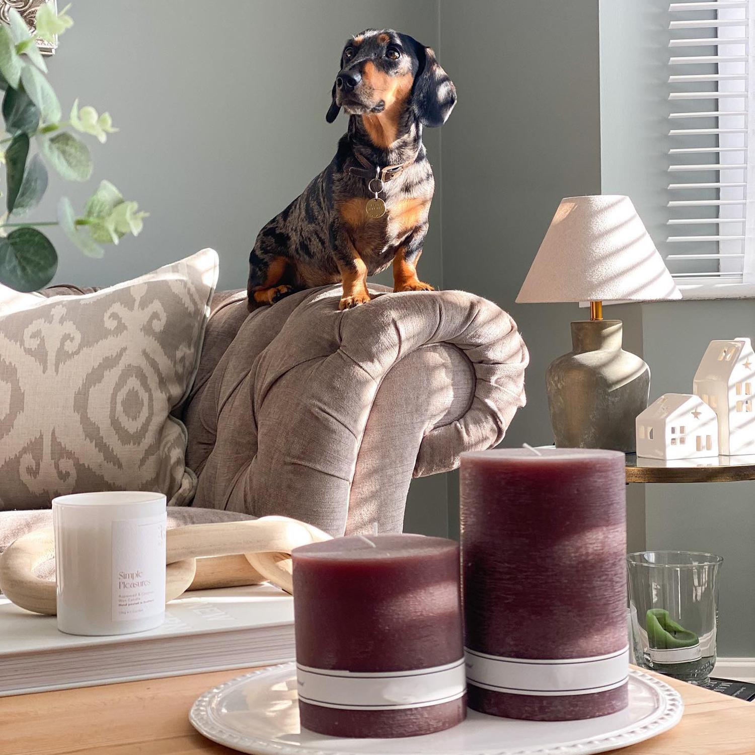 Volcano Canvas Sustainable Feather Cushion 55cm X 55cm - Andrew Martin Eco-conscious Linen Blend Viscose Blend Ikat