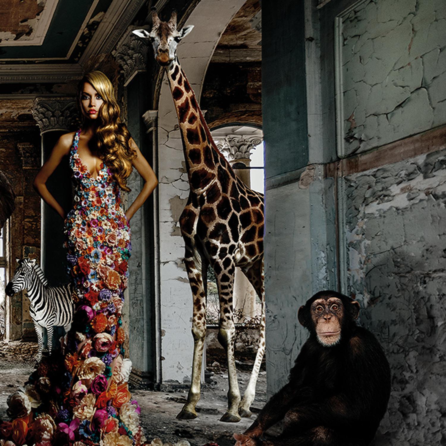 Animal Afternoon 200cm X 100cm - Andrew Martin