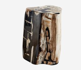 Petrified_Log_Stool_1
