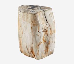 Petrified_Log_Stool_2