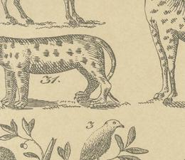 andrew_martin_museum_wallpapers_ark_parchment_wallpaper